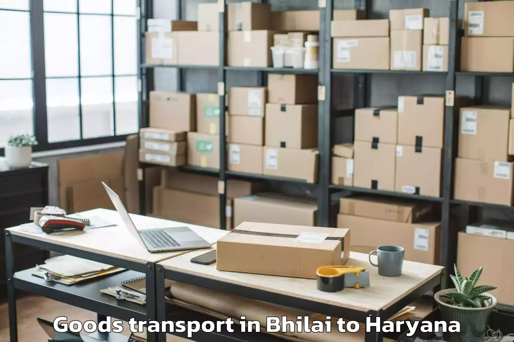 Bhilai to Gold Souk Mall Gurgaon Goods Transport